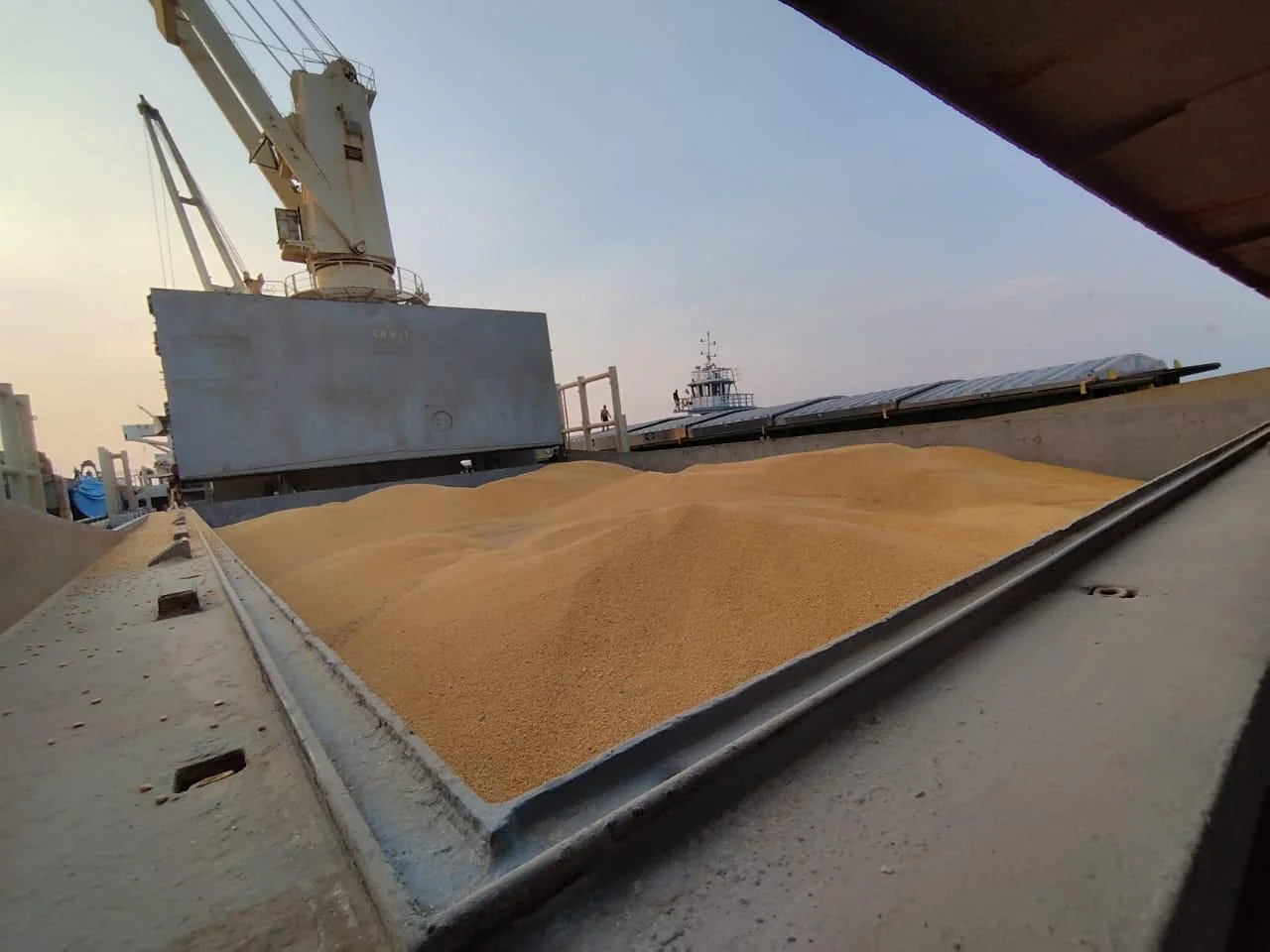Navio no transporte de cargas agrícolas